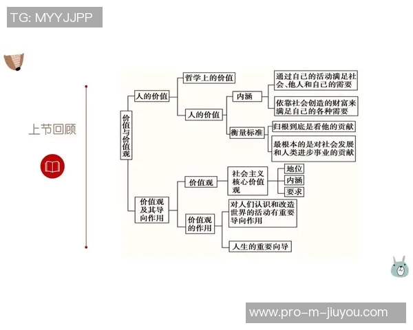 篮球明星的成长之路与人生哲学探秘书籍推荐